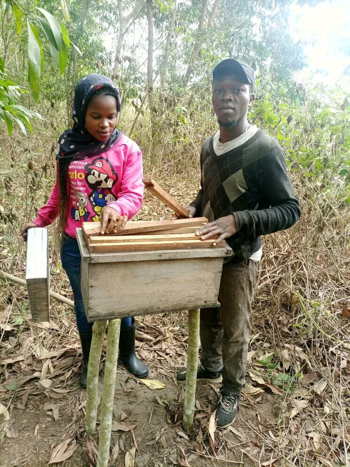 L’apiculture, une Technique Moins Exigeante mais Très Rentable