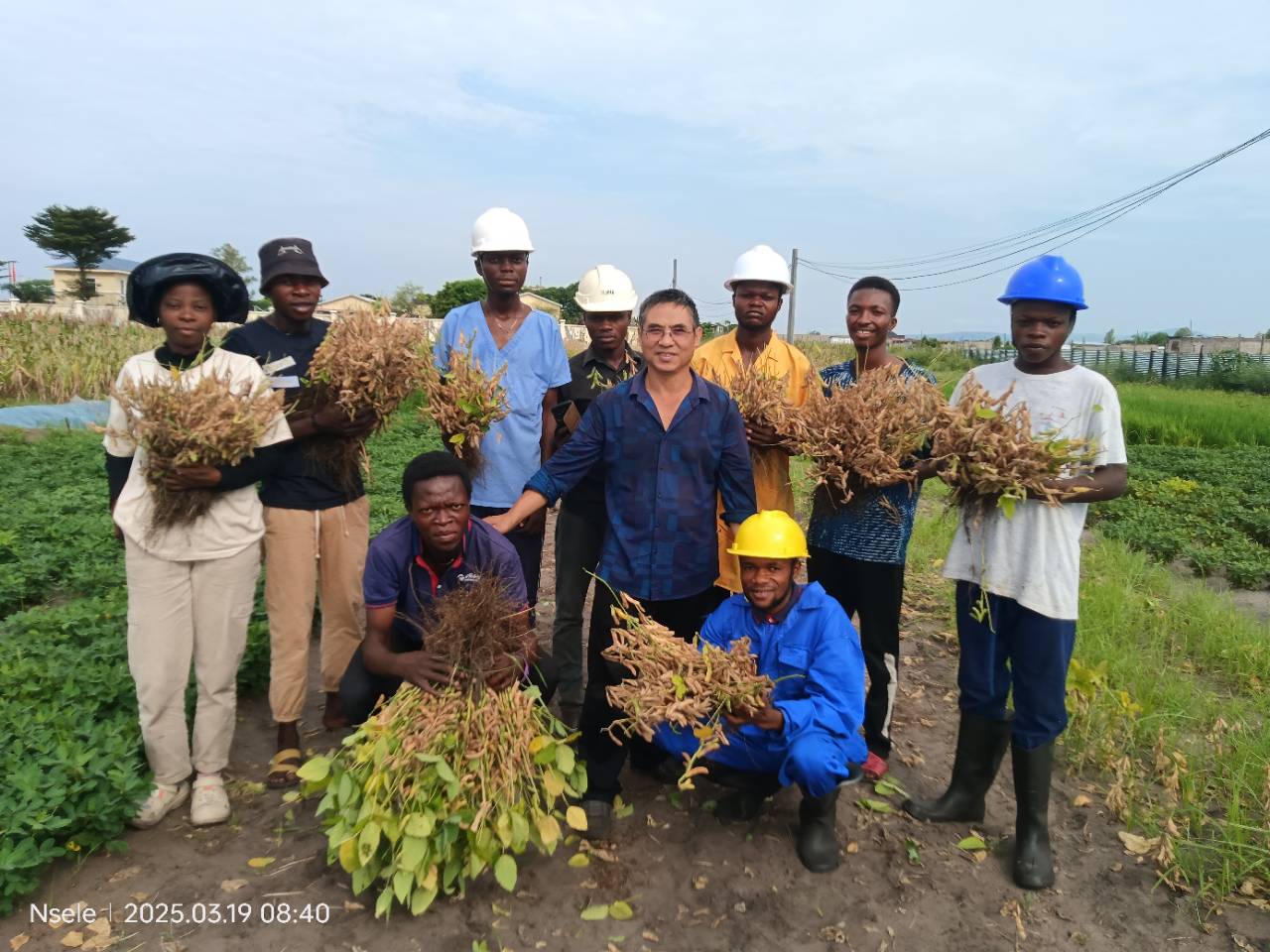 La culture du soja un pilier de l'alimentation moderne et de l'agriculture durable, solution à la malnutrition dans le kwango en RDC