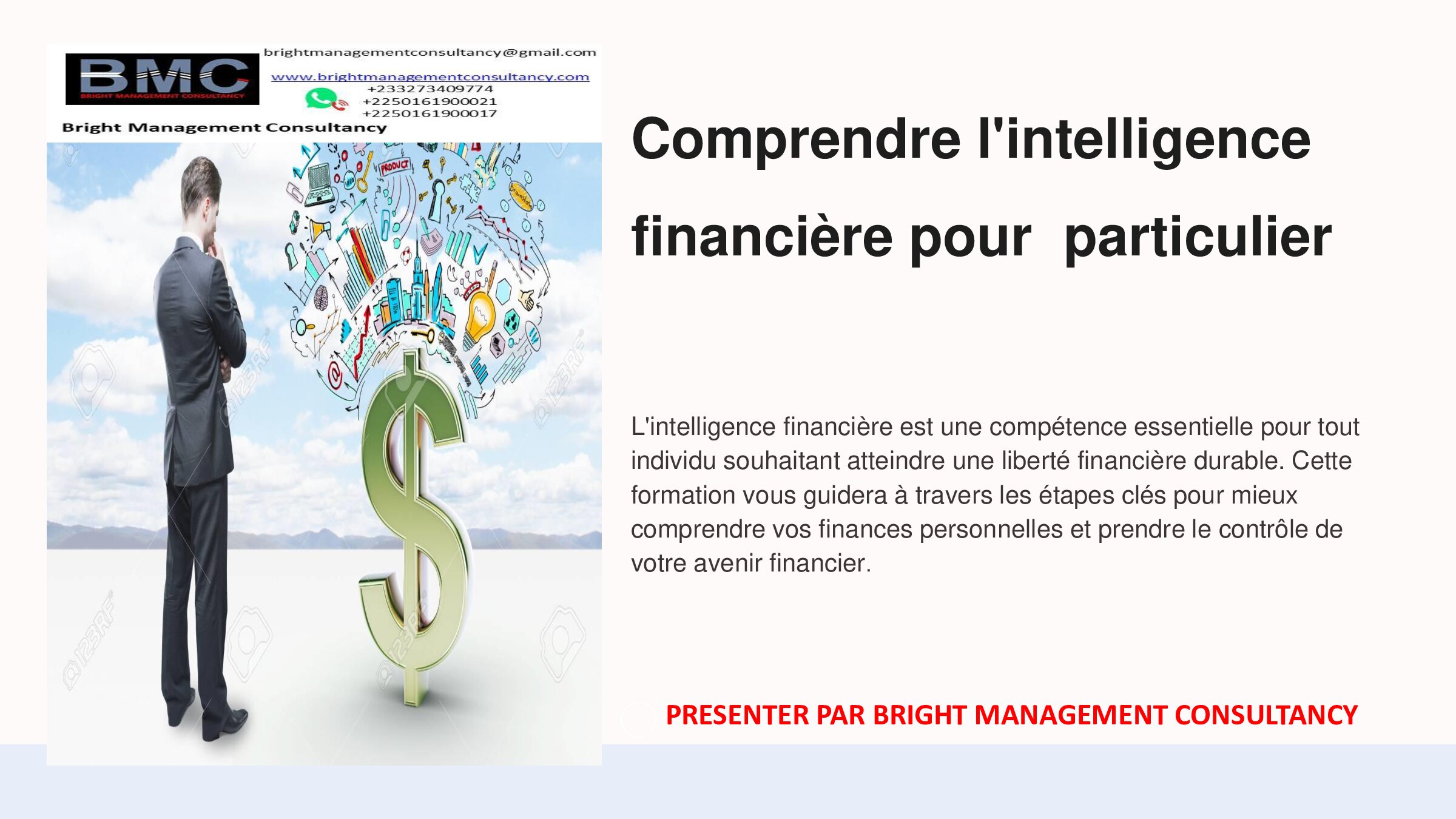 Aperçu de Comprendre l'intelligence financière pour  particulier